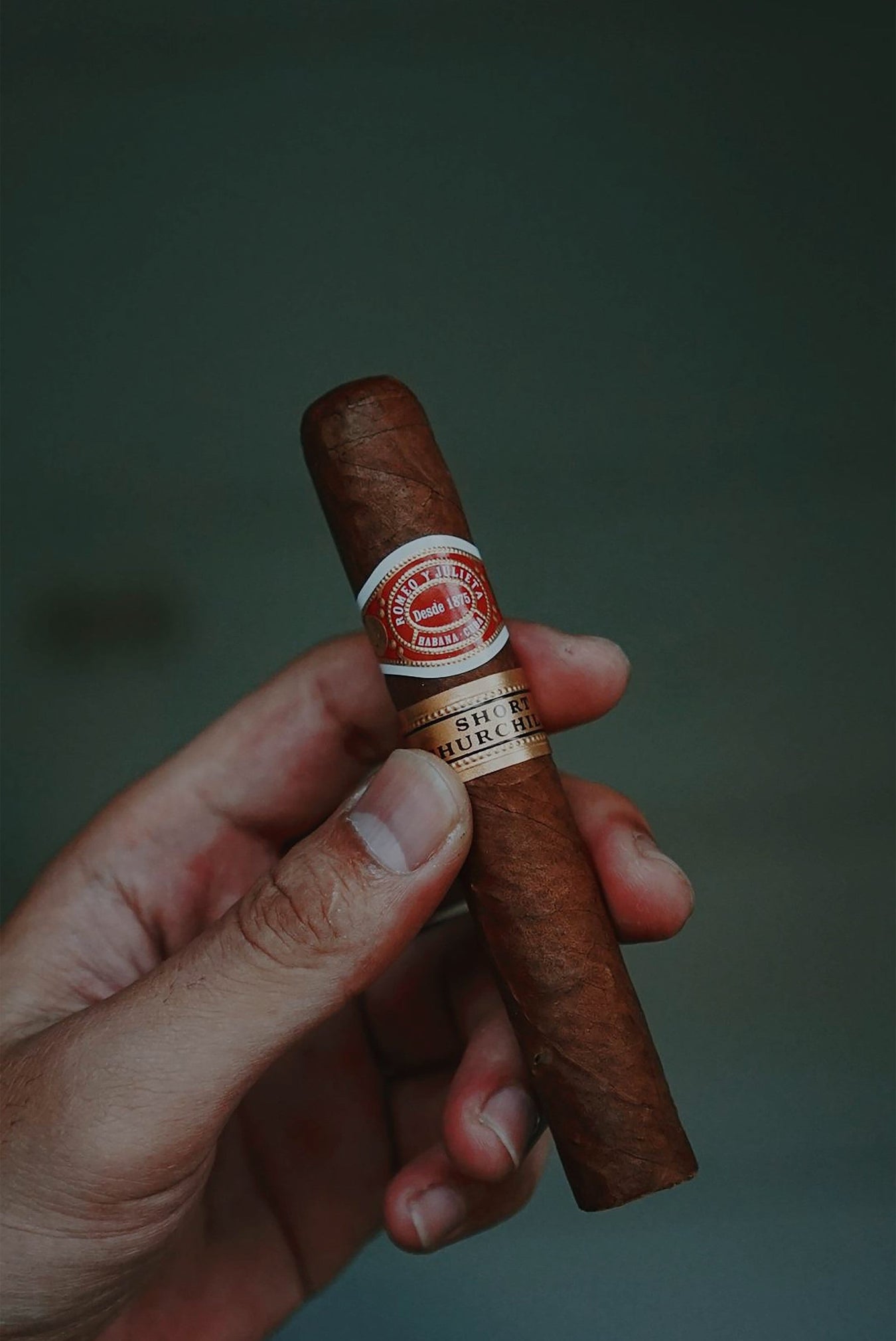 Romeo y Julieta Cigars