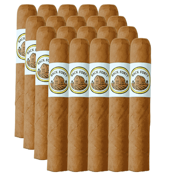 back tobacco Back Forty Connecticut Robusto