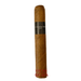 CAO Surplus Shade Gordo