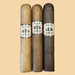 charter oak cigars