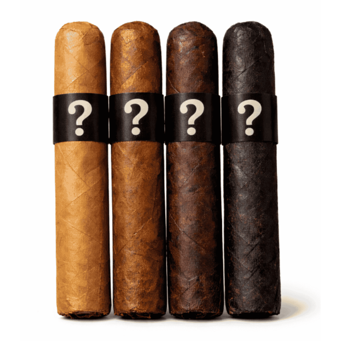 Exclusive Mystery Sampler 2026