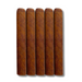 Nicaraguan House Blend 5 Pack