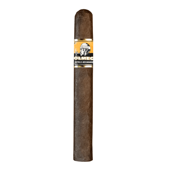 Foundation Olmec Maduro Robusto cigar with a dark Mexican San Andrés Maduro wrapper and yellow black band displayed upright on a plain white background.